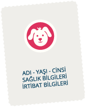 Köpek Profil